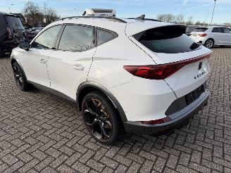 Cupra Formentor 2.0 -180 Kw Automaat VZ picture 18