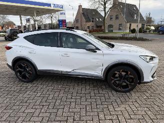 Cupra Formentor 2.0 -180 Kw Automaat VZ picture 9