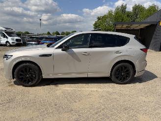 Mazda CX-60 2.5 PHEV  Homura AWD picture 19