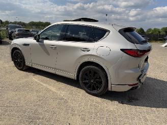 Mazda CX-60 2.5 PHEV  Homura AWD picture 17