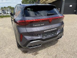 Cupra Terramar 1.5 eTSi 150 Pk automaat picture 14