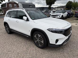 Mercedes EQB 250+ Elektro 140 Kw picture 2