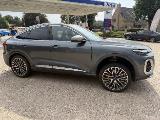 škoda osobní automobily Audi SQ5 3.0 - 270 Kw Sportback   Nieuwste model 2026/1