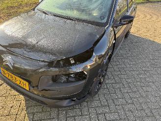 Citroën C4 cactus  picture 9