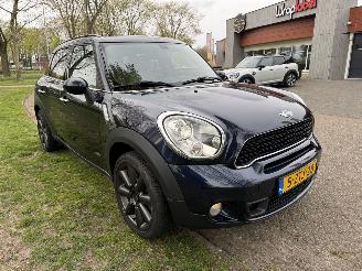 Mini Mini  picture 7