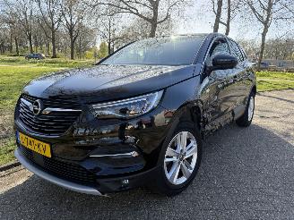 damaged passenger cars Opel Grandland X 2021/1
