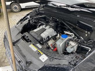 Audi SQ5 3.0 TSFI Quattro picture 45