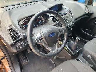 Ford B-Max 1.0 EcoBoost Titanium picture 15