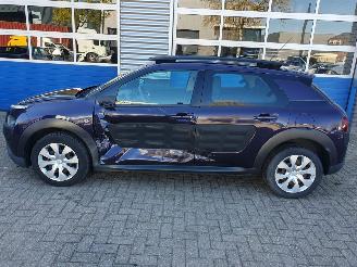 Citroën C4 cactus 1.2 PureTech Business picture 2