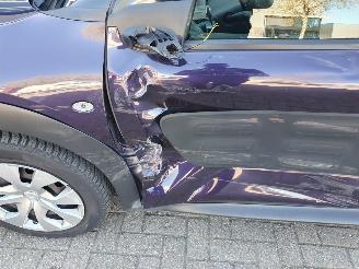 Citroën C4 cactus 1.2 PureTech Business picture 12