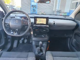 Citroën C4 cactus 1.2 PureTech Business picture 18