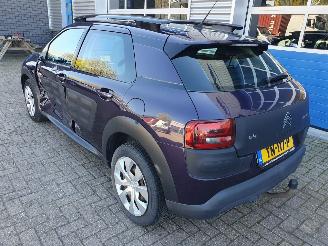 Citroën C4 cactus 1.2 PureTech Business picture 3