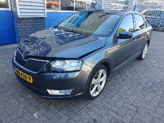 Voiture accidenté Skoda Rapid 1.2 TSI Greentech Elegance Businessline 2016/1