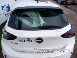 Opel Corsa Corsa F (UB/UH/UP), Hatchback 5-drs, 2019 1.2 Turbo 12V 100 picture 10