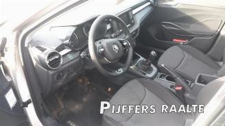 Skoda Fabia Fabia IV (PJ3), Hatchback 5-drs, 2021 1.0 TSI 12V picture 18