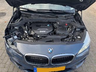 BMW 2-serie 218i Centennial Executive picture 9