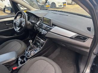 BMW 2-serie 218i Centennial Executive picture 11