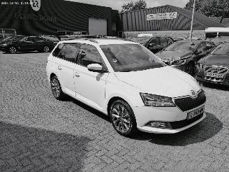 Avarii autoturisme Skoda Fabia 1.0 TSI BUS. EDITION 2021/6