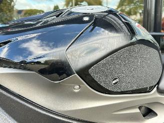 BMW S 1000 R  picture 10