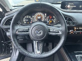 Mazda CX-30 2.0 e-SkyActive -G M Hybrid Comfort picture 12