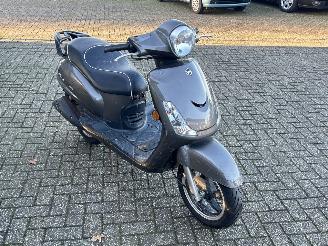 Sym  Fiddle 2 picture 7