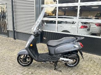 Sym  Fiddle 2 picture 2