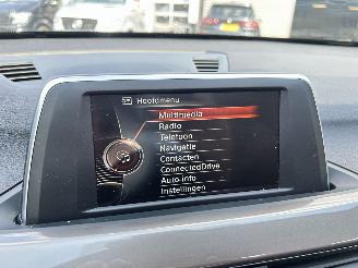 BMW X1 SDRIVE18I Centennial High Executive picture 29