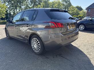 Peugeot 308 1.2 PureTech Blue Lease  LEER (Hatchback 5-dr.) picture 3
