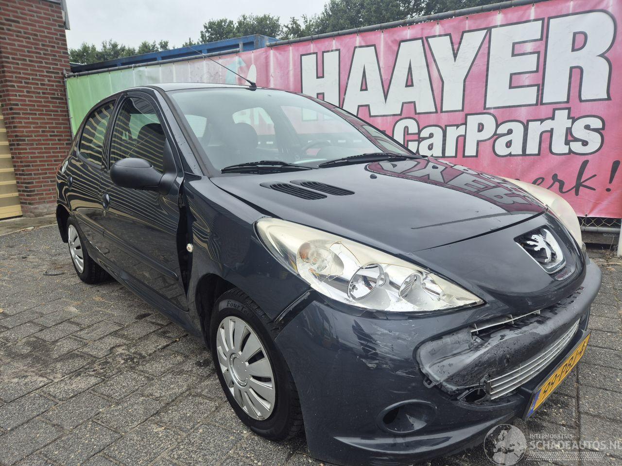 Peugeot 206+ 1.4 Miiesim 200