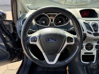Ford Fiesta 1.6 TDCi ECOnetic Titanium picture 16