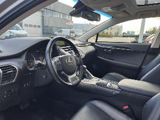 Lexus NX 300H AWD President Line picture 15