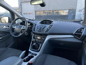 Ford C-Max 1.6 EcoBoost Titanium picture 14