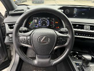 Lexus UX 250h Preference Line picture 19