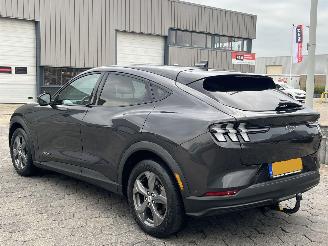 Ford Mustang Mach-E Extended RWD 98 kWh picture 6