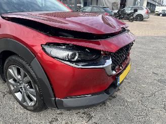 Mazda CX-30 2.0 e-SkyActiv-X M Hybrid Luxury picture 10