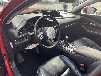 Mazda CX-30 2.0 e-SkyActiv-X M Hybrid Luxury picture 11