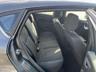 Ford Fiesta 1.0 EcoBoost Titanium picture 11