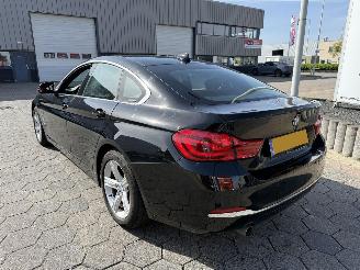 BMW 4-serie Gran Coupé 418i High Executive picture 6