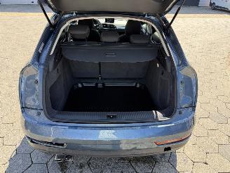 Audi Q3 2.0 TFSI quattro Design Pro Line Plus picture 13