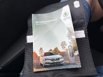 Skoda Superb Combi 1.4 TSI iV Business Edition picture 25
