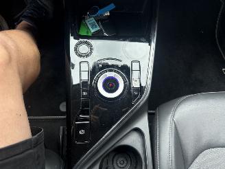 Kia Niro EV DynamicLine 64.8 kWh picture 21