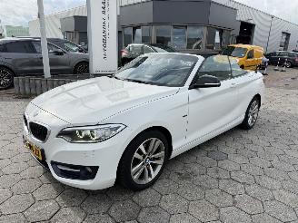 Avarii autoturisme BMW 2-serie Cabrio 218i 2015/4