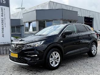  Opel Grandland X 1.2 Turbo Business Executive 2020/1