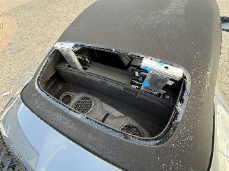 Porsche 911 Carrera 4 GTS Cabrio 357KW picture 8