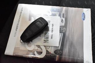 Ford Fiesta 1.0 EcoB. Titanium picture 32