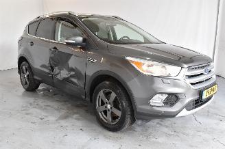 Vaurioauto  passenger cars Ford Kuga 1.5 EcoB. ST Line 2017/4