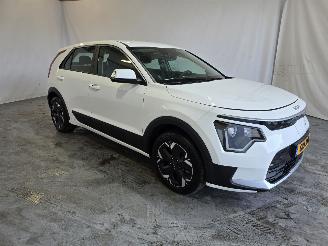 Unfallwagen Kia e-Niro Light 64.8 kWh 2024/12