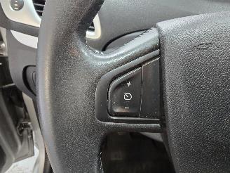 Renault Scenic 1.4 TCE Celsium picture 29