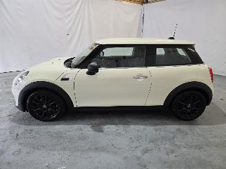 Mini One 1.2 Salt picture 4