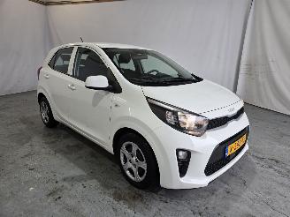 damaged passenger cars Kia Picanto 1.0 DPi ComfortL. 5p 2023/11